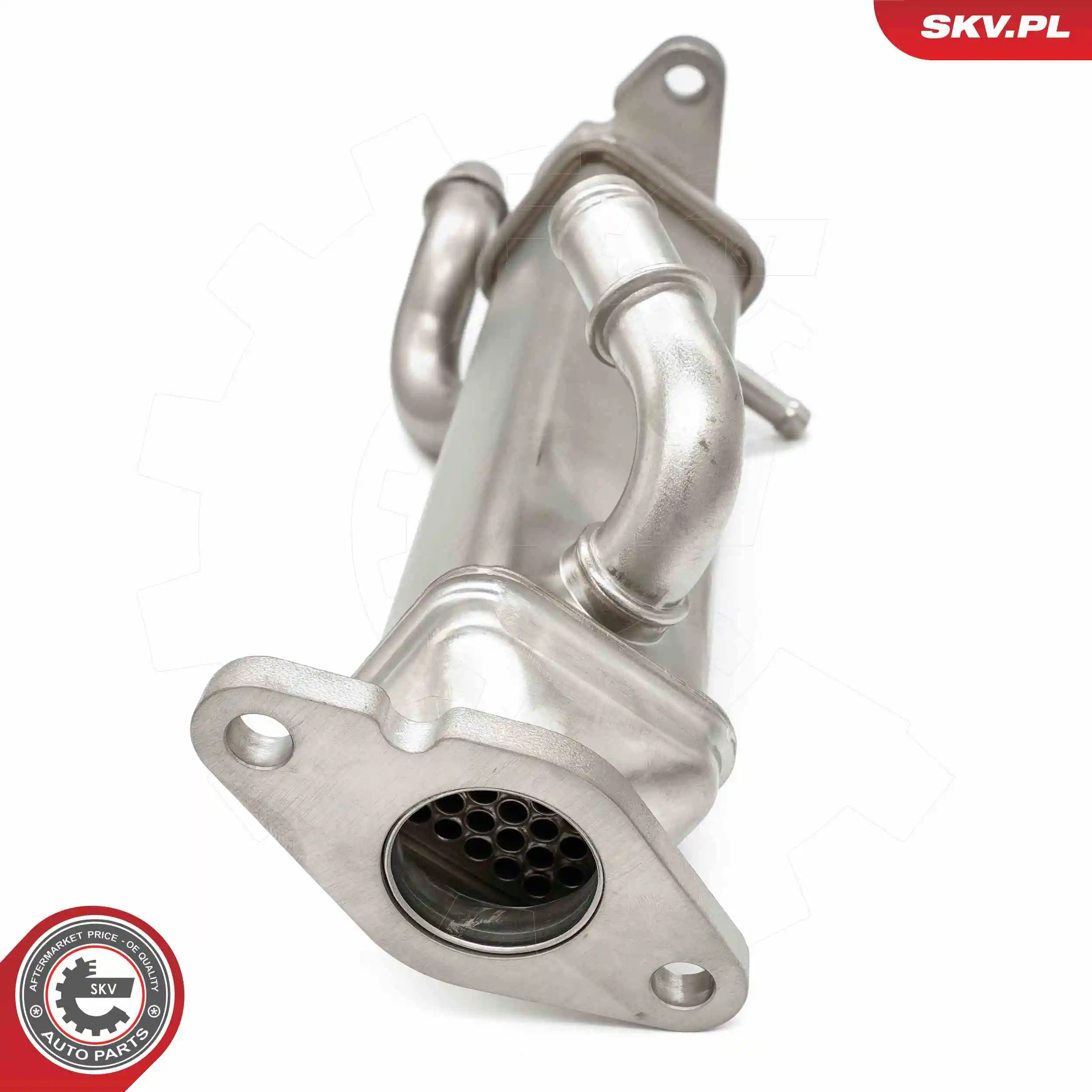 ESEN SKV 14SKV273 EGR Valve