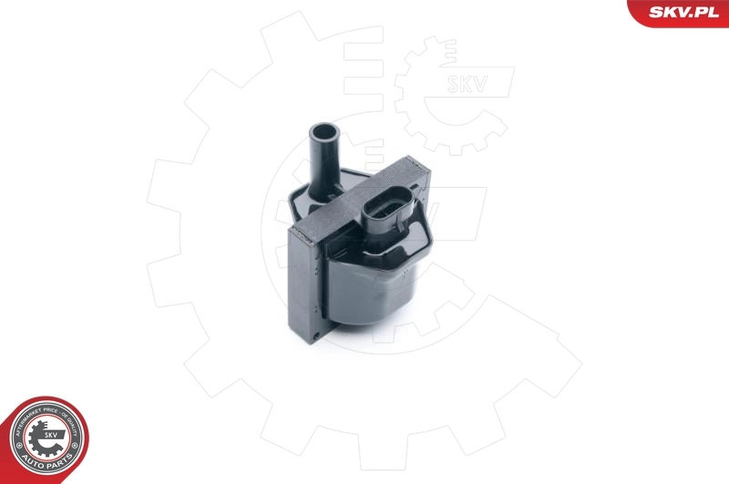 Ignition Coil 03SKV253