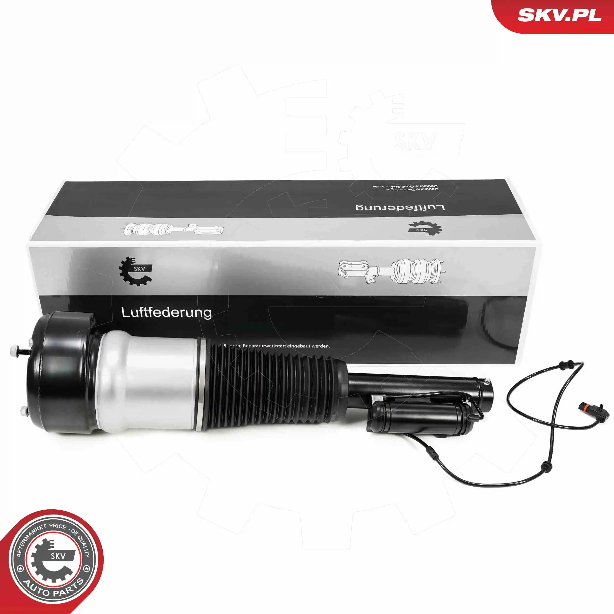 Air Suspension Strut 58SKV720