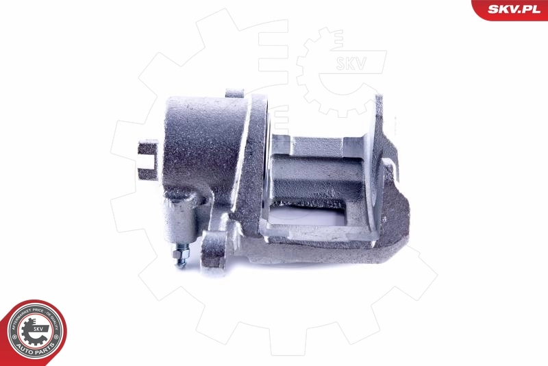 Brake Caliper 55SKV101