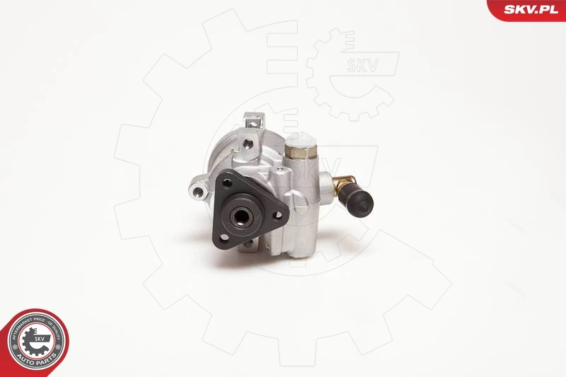 Hydraulic Pump, steering 10SKV053