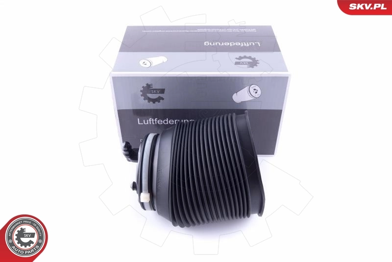 Air Spring, suspension 58SKV005