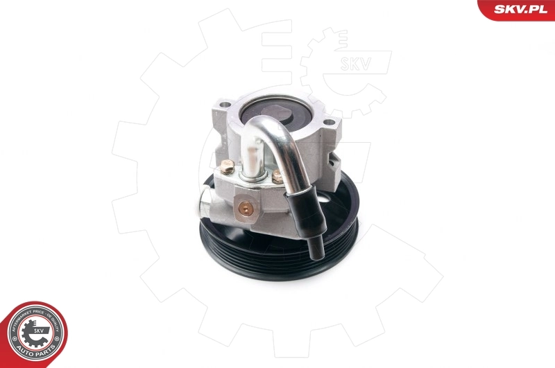 Hydraulic Pump, steering 10SKV206