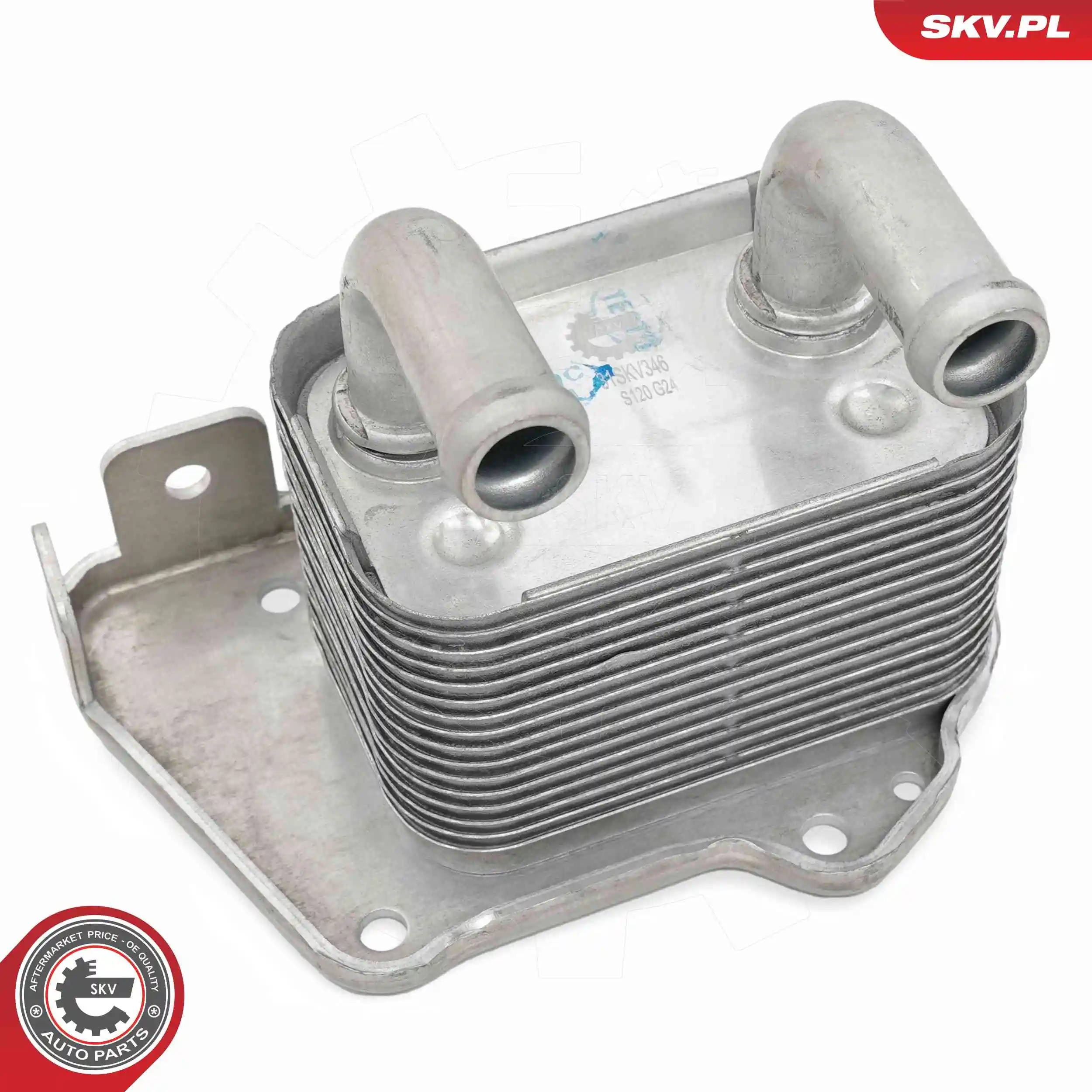 Oil Cooler, engine oil 31SKV346