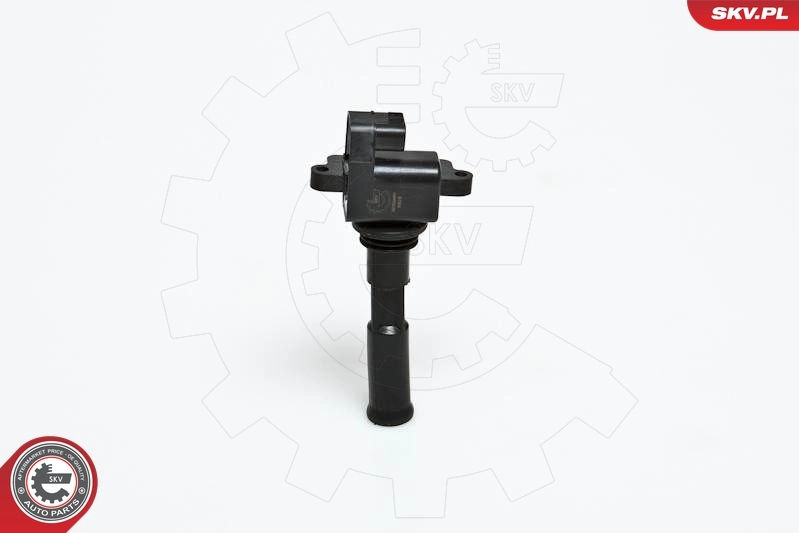 Ignition Coil 03SKV030