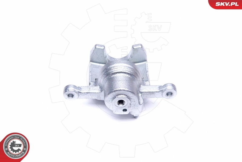 Brake Caliper 45SKV344