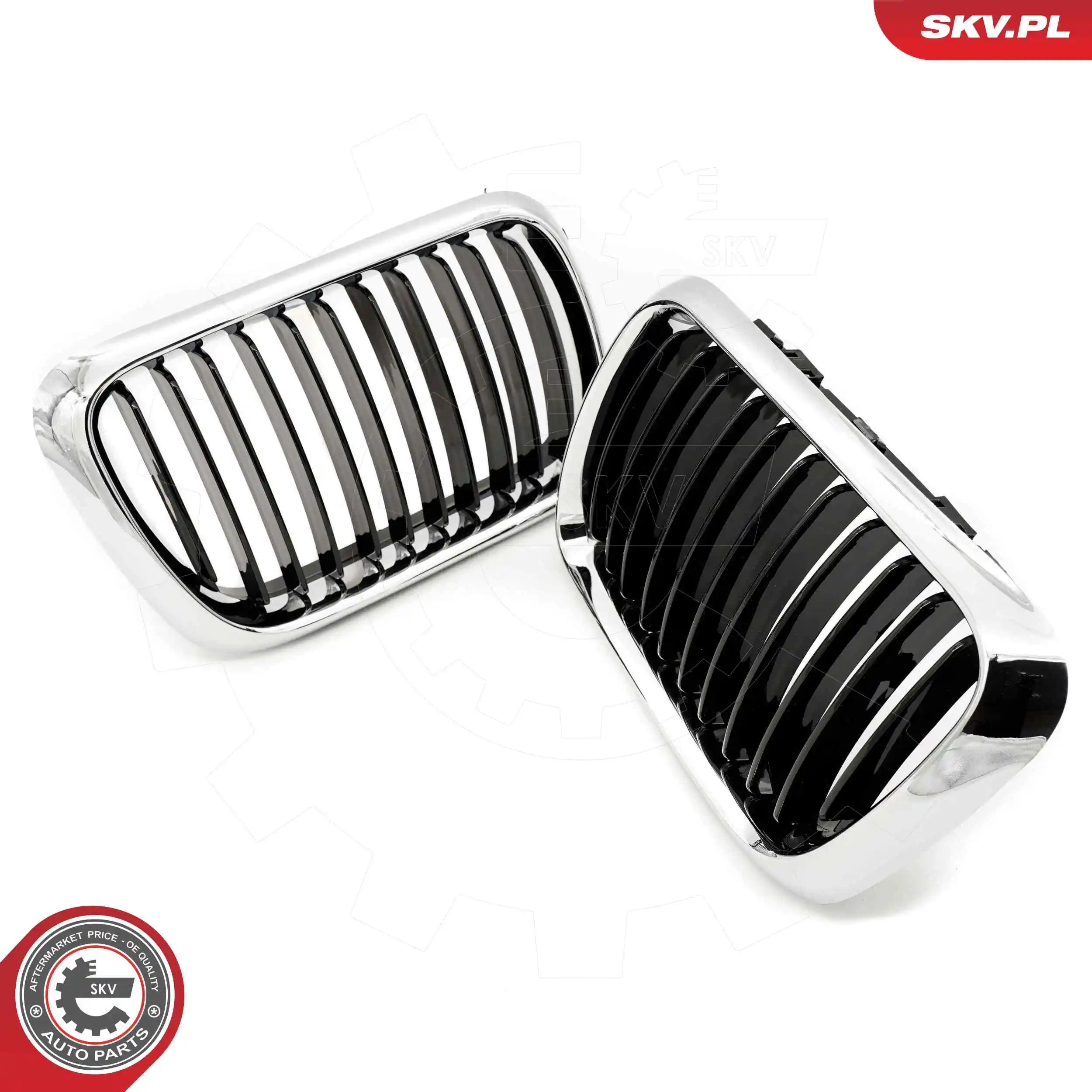 ESEN SKV 66SKV053 Radiator Grille