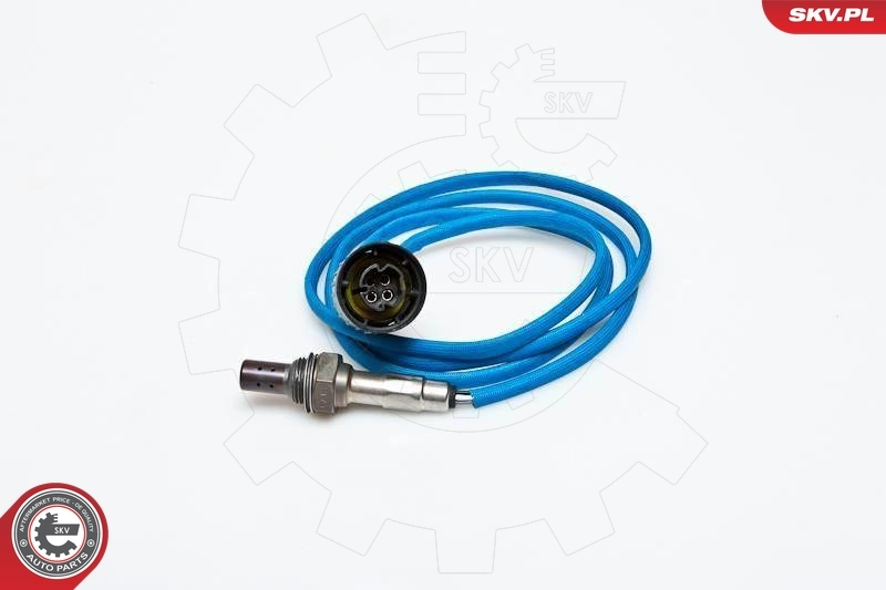 Oxygen Sensor 09SKV049