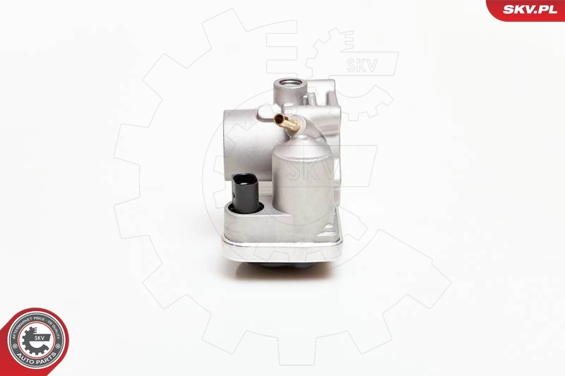Throttle Body 12SKV029