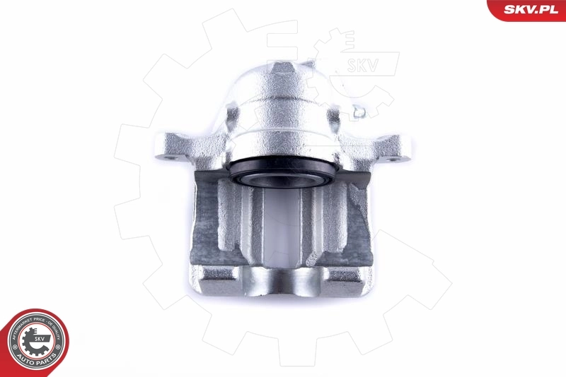 Brake Caliper 55SKV142