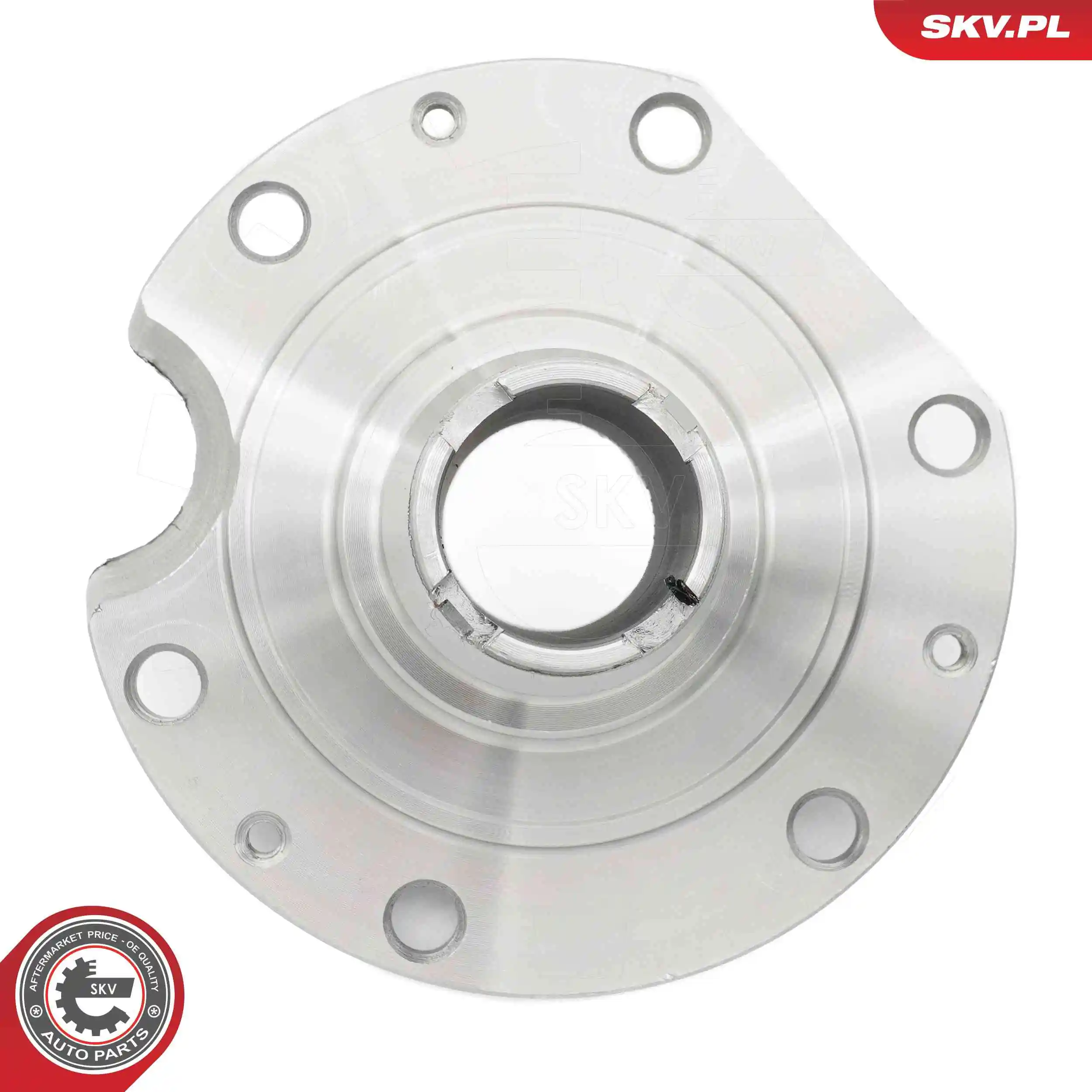 ESEN SKV 29SKV568 Wheel Bearing Kit
