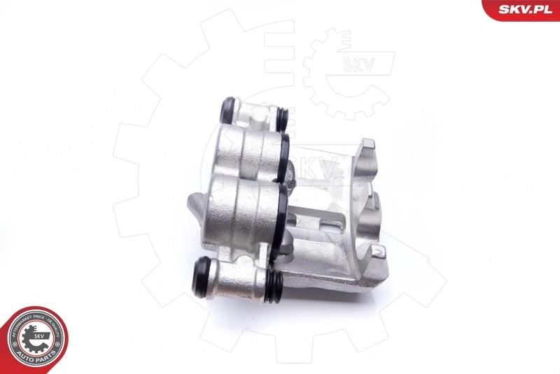 Brake Caliper 42SKV332