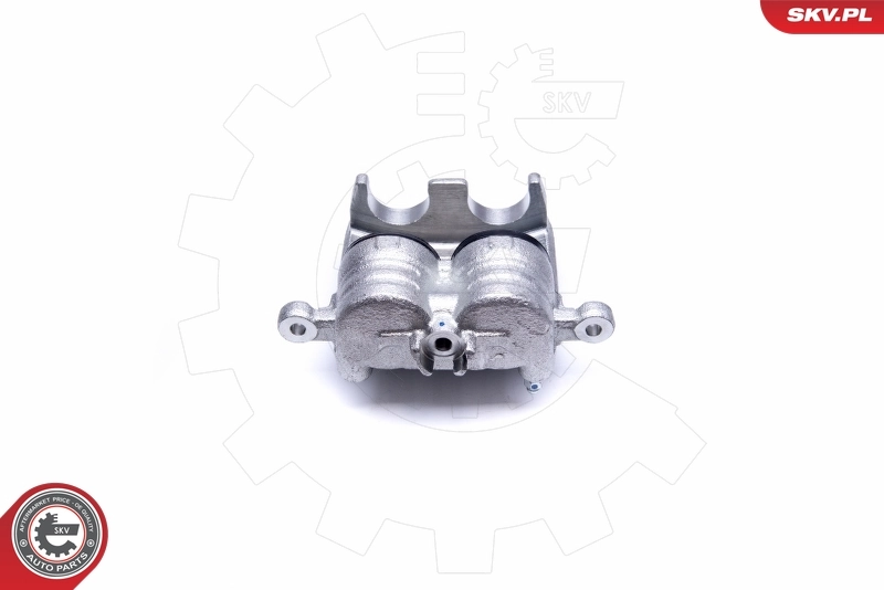Brake Caliper 42SKV442