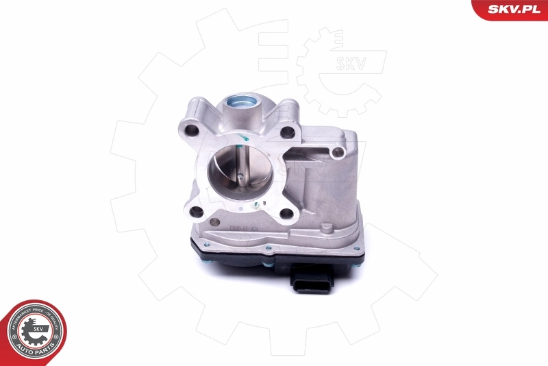 Throttle Body 12SKV076