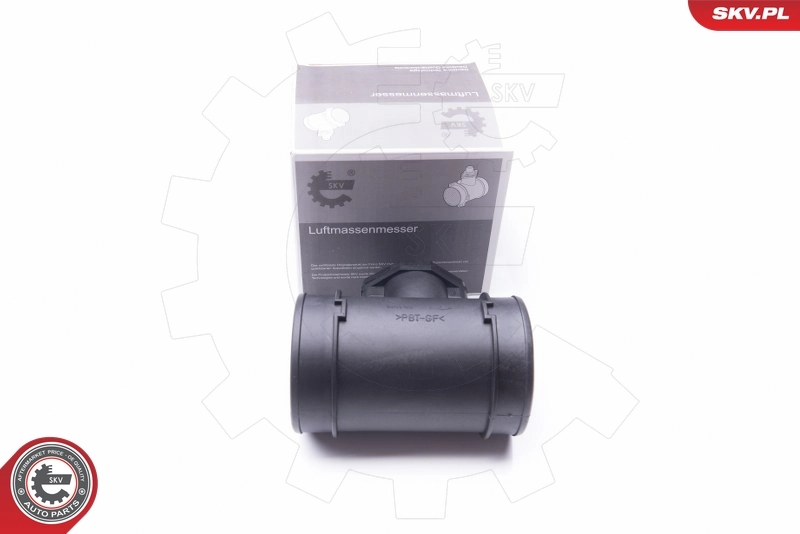 Mass Air Flow Sensor 07SKV021