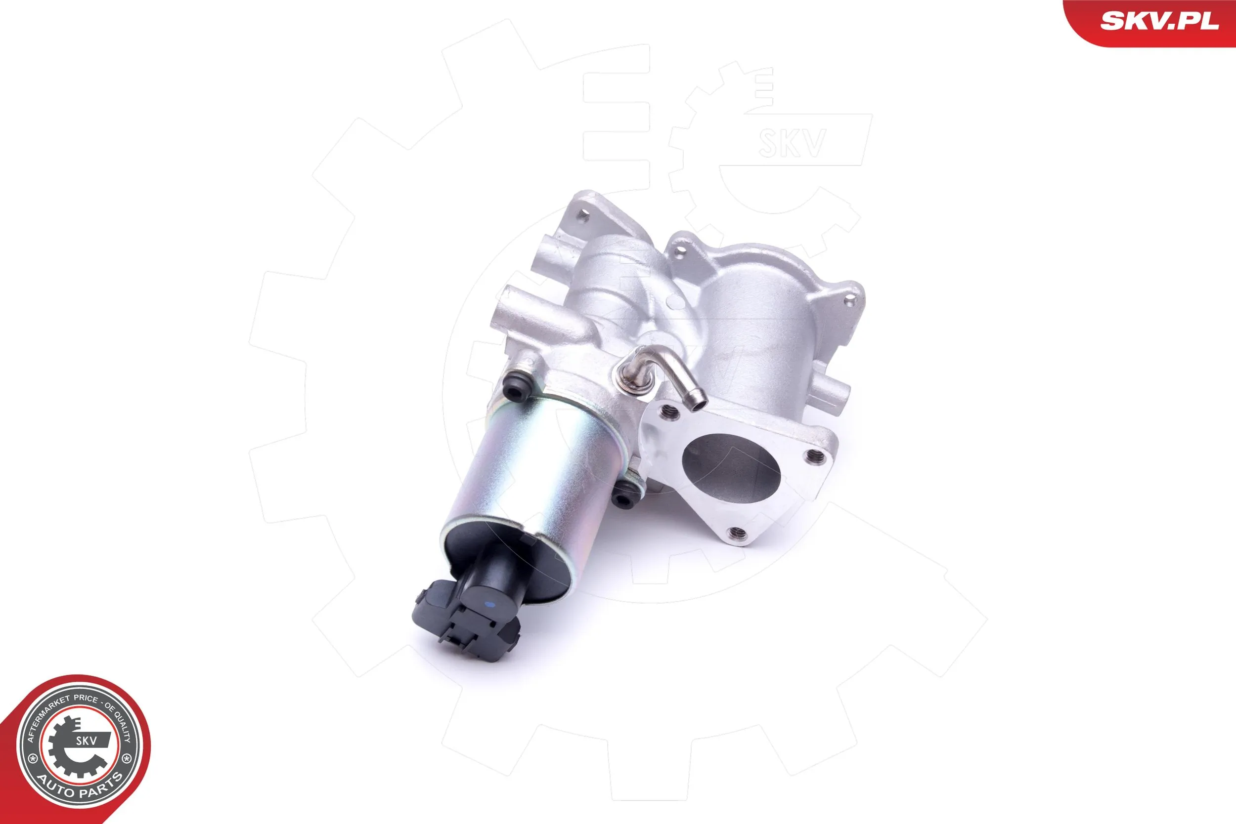 EGR Valve 14SKV166