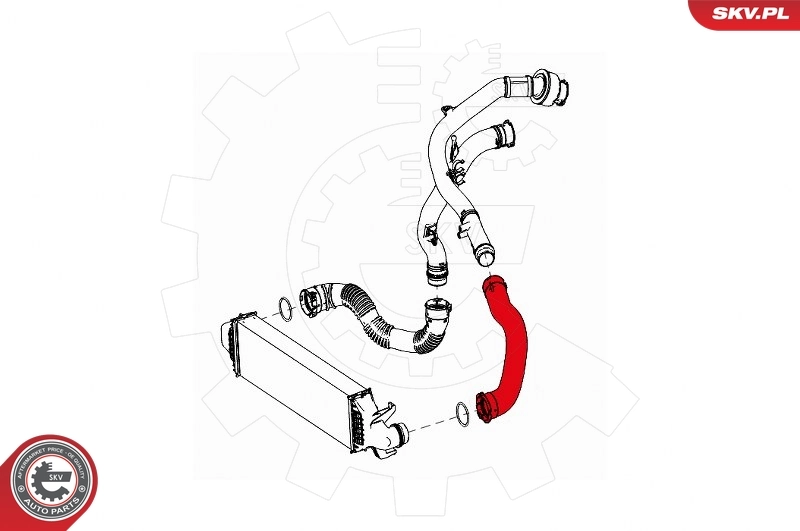 Charge Air Hose 43SKV128