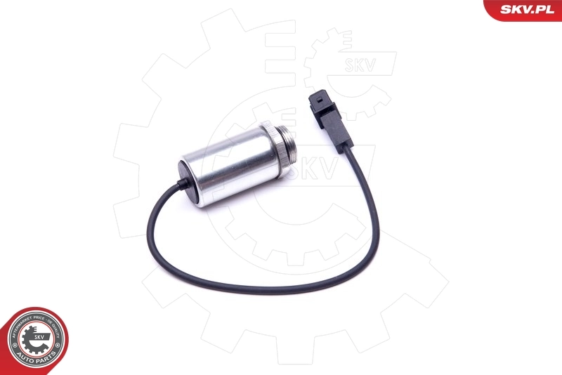 Control Valve, camshaft adjustment 39SKV048