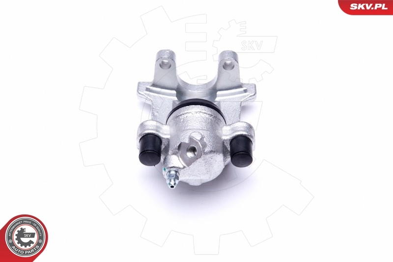 Brake Caliper 46SKV674