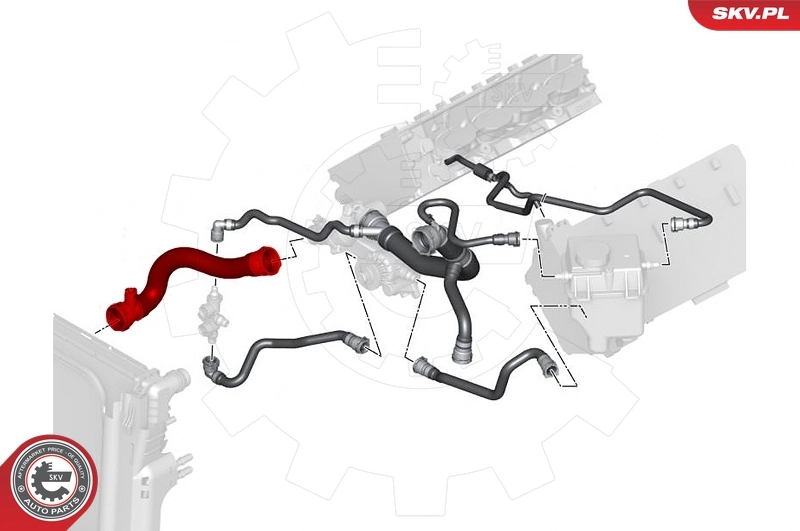 Radiator Hose 24SKV270