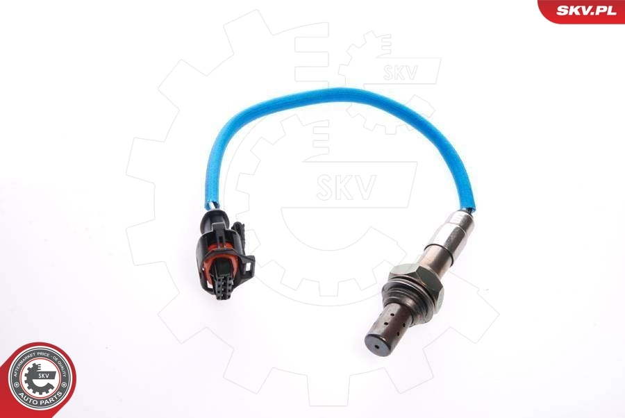 Oxygen Sensor 09SKV041