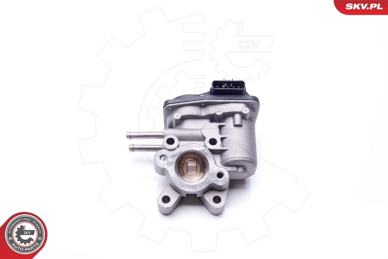 EGR Valve 14SKV103
