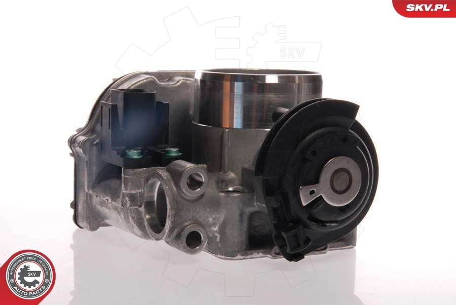 Throttle Body 12SKV019