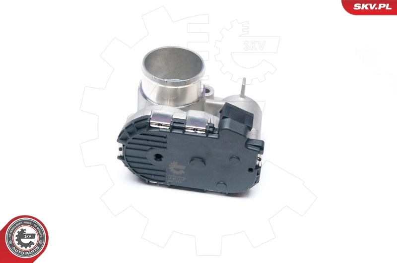 Throttle Body 12SKV043