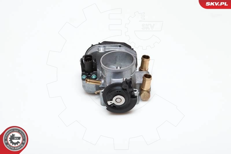 ESEN SKV 12SKV005 Throttle Body