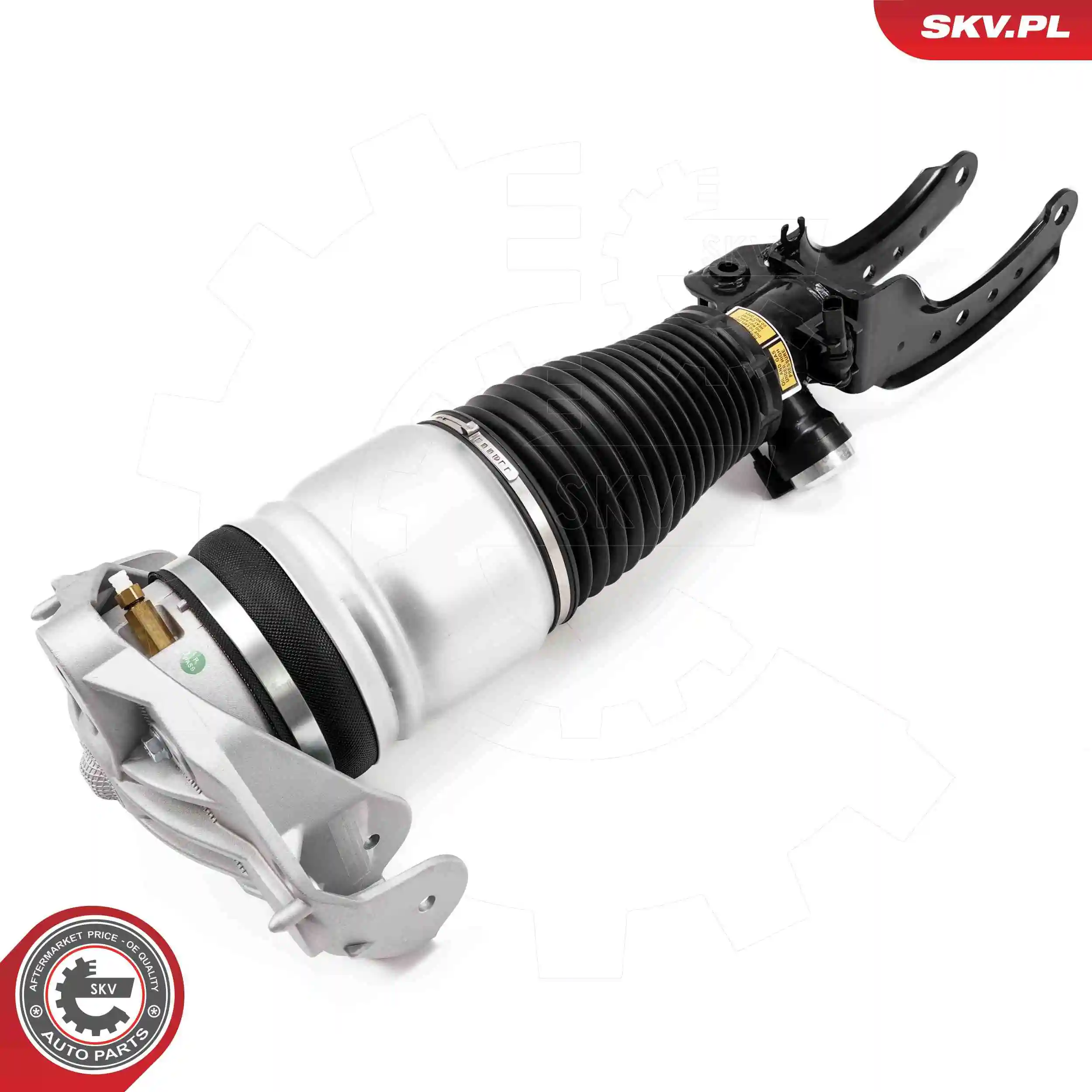Air Suspension Strut 58SKV704
