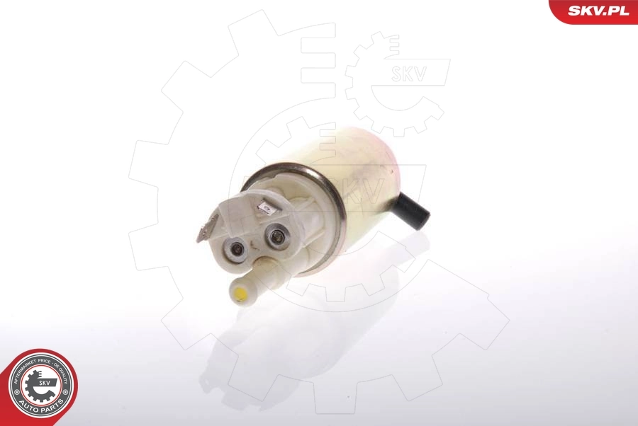 Fuel Pump 02SKV245