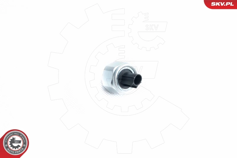 Knock Sensor 17SKV360