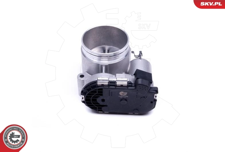 Throttle Body 12SKV088