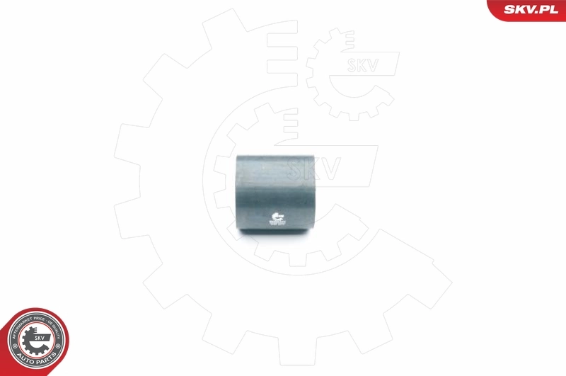 Charge Air Hose 24SKV034