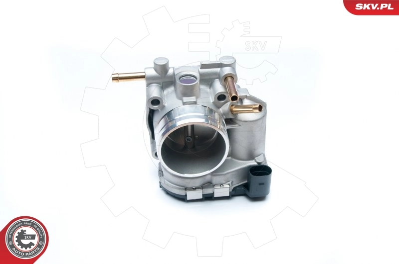 Throttle Body 12SKV045
