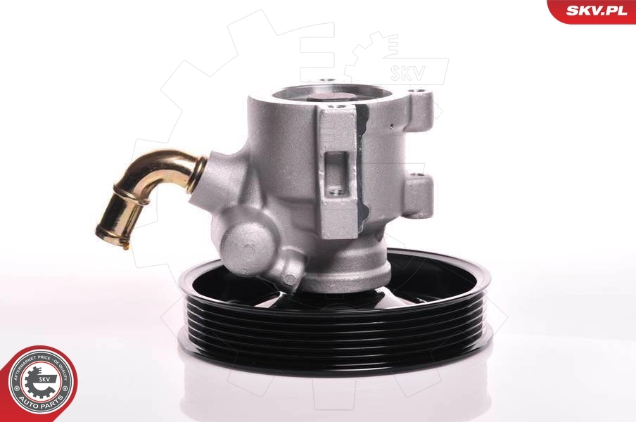 Hydraulic Pump, steering 10SKV142