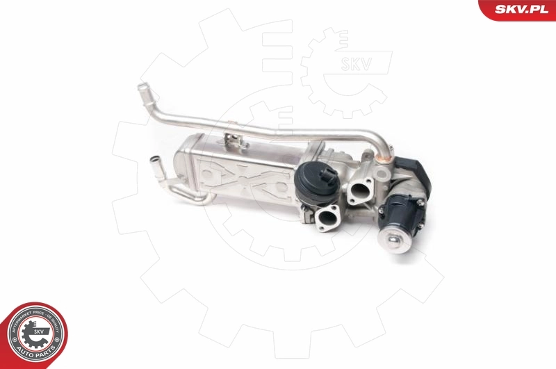 EGR Valve 14SKV095