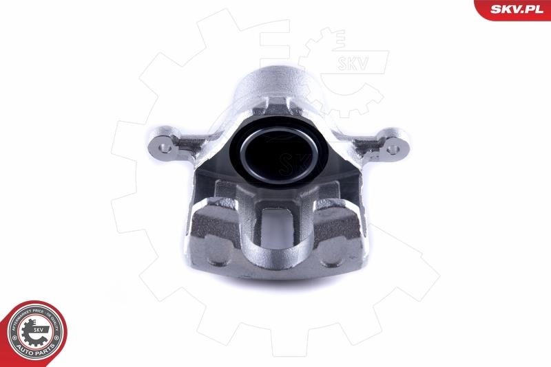 Brake Caliper 50SKV782