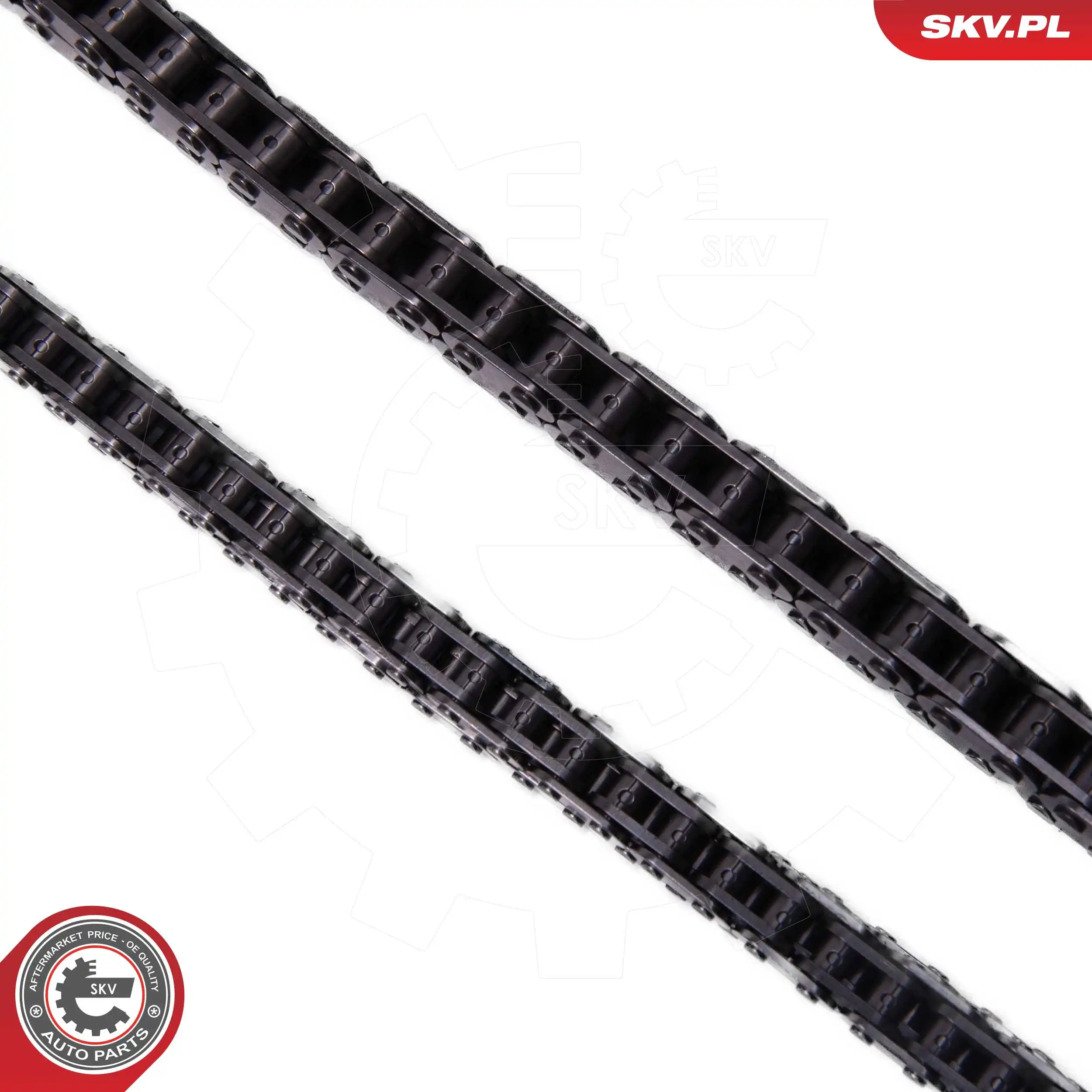 Timing Chain Kit 21SKV251