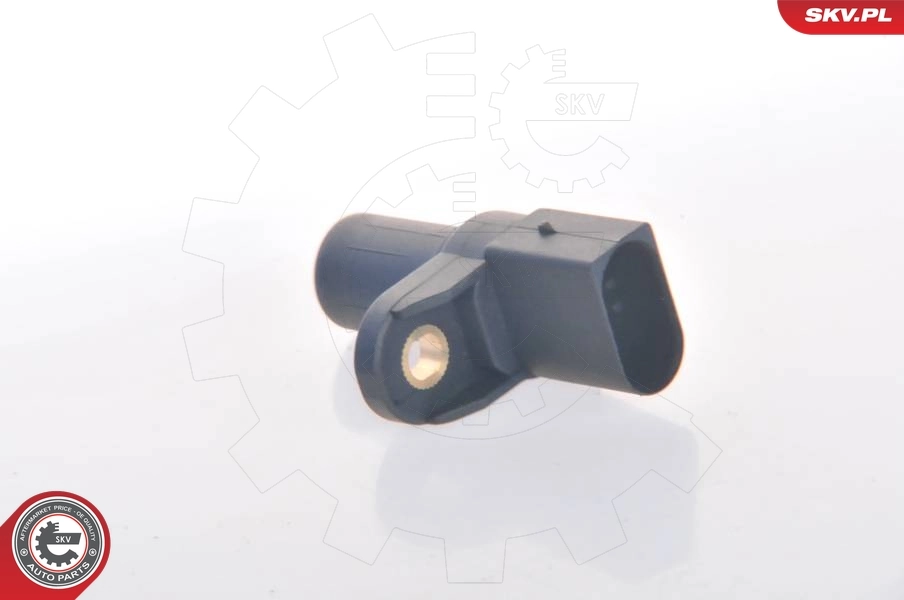 Sensor, camshaft position 17SKV232
