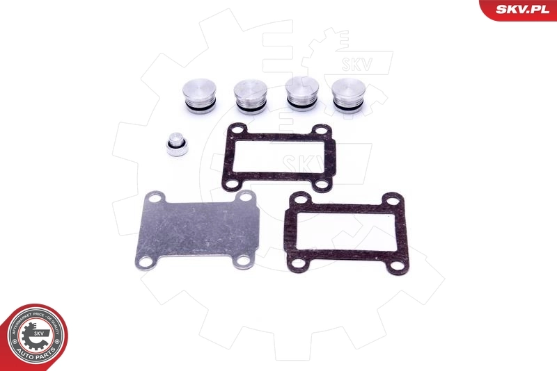 Repair Kit, intake manifold module 49SKV527