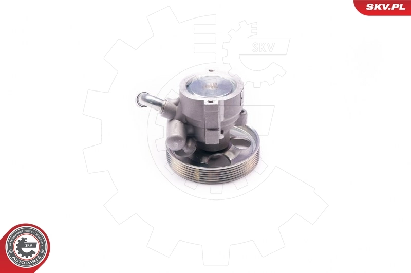 Hydraulic Pump, steering 10SKV218