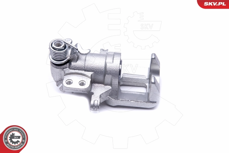 Brake Caliper 46SKV784