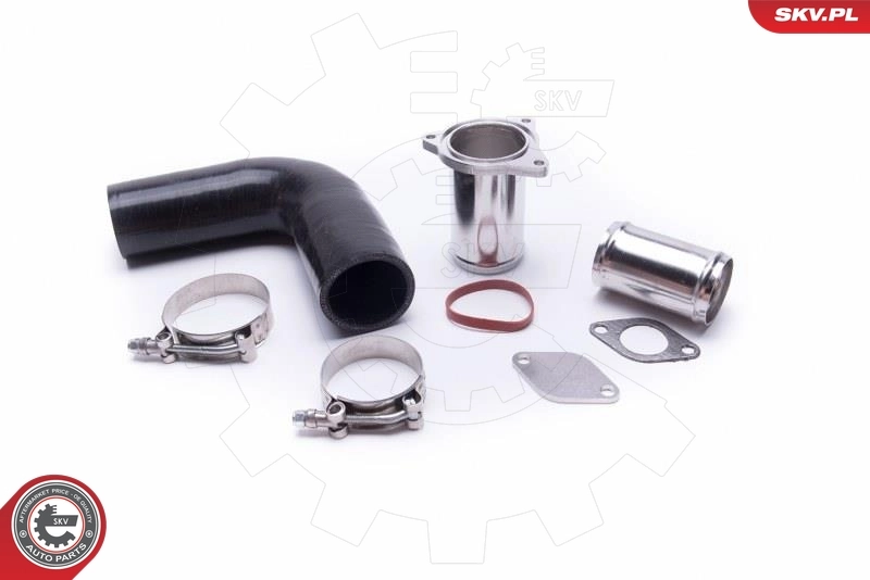 ESEN SKV 14SKV516 Repair Kit, intake manifold module