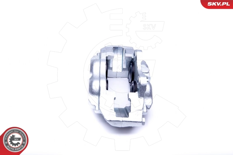 Brake Caliper 45SKV232