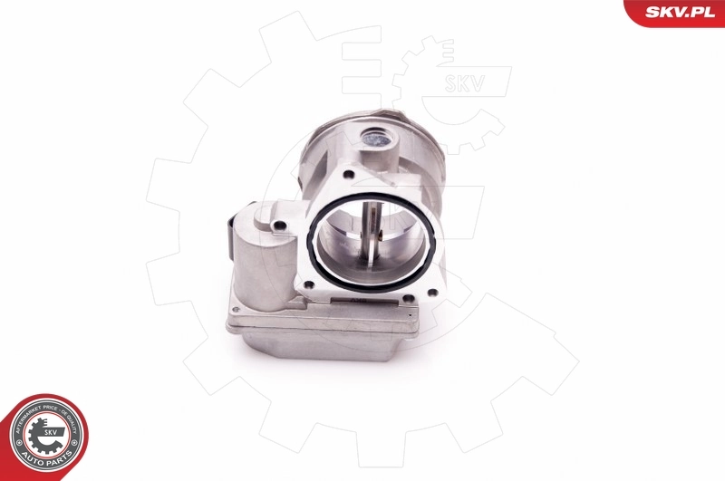 Throttle Body 12SKV062