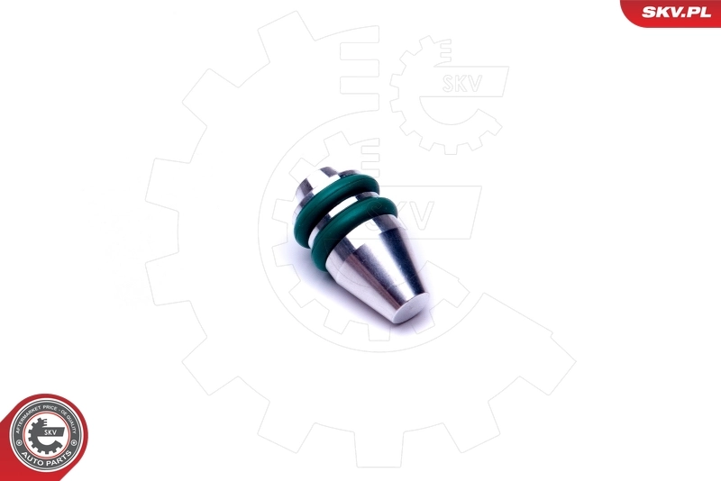 Repair Kit, intake manifold module 49SKV546