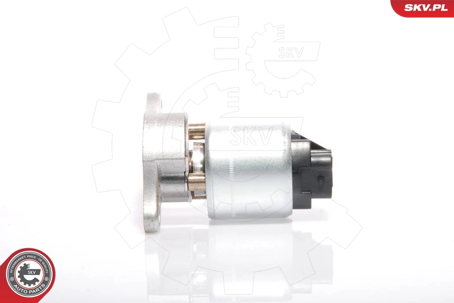 EGR Valve 14SKV035