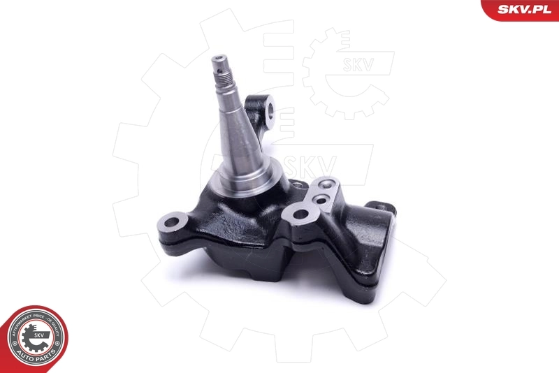 Steering Knuckle, wheel suspension 47SKV781