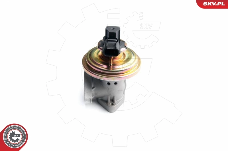 EGR Valve 14SKV097